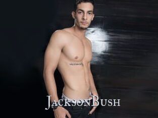 JacksonBush