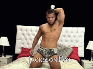 JackssonFox Xxx Amateur