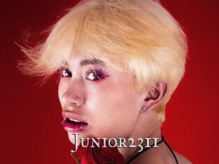 Junior2311