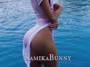 KamikaBunny