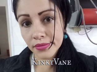 KinkyVane