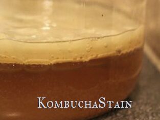 KombuchaStain