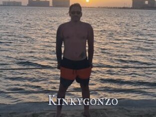 Kinkygonzo