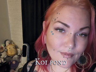 Koi_pond