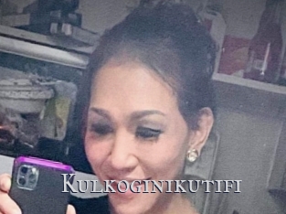 Kulkoginikutifi