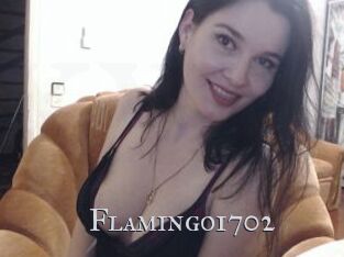 Flamingo1702