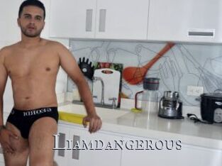 liamdangerous Xxx Amateur
