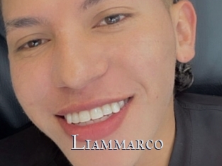 liammarco Xxx Amateur