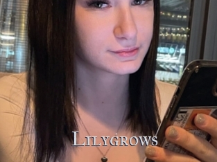 Lilygrows