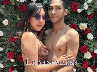 Lizyandmarks