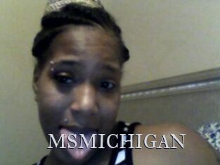 MSMICHIGAN