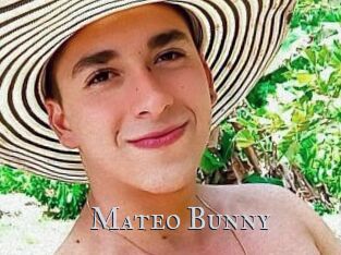 Mateo_Bunny