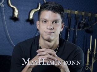MaxHamintonn
