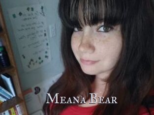 Meana_Bear