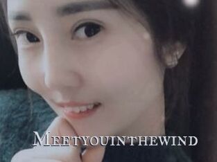 Meetyouinthewind