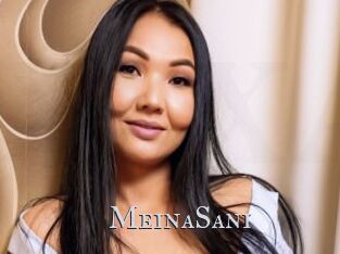 MeinaSani
