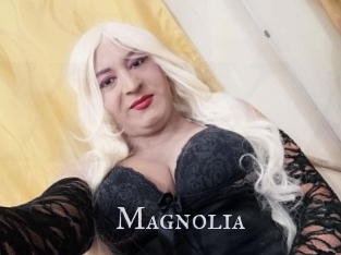 Magnolia