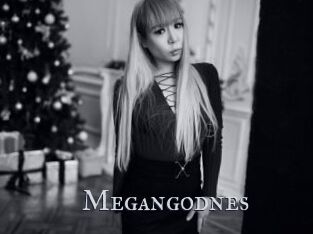 Megangodnes