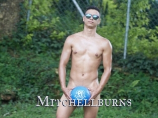 Mitchellburns