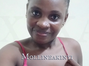 Mollineakinyi