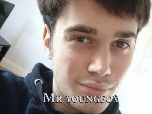 Mr_youngfox