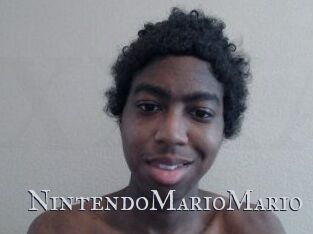 NintendoMarioMario