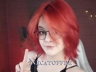 necatoffee Xxx Amateur