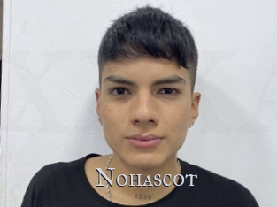 nohascot Xxx Amateur
