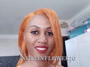 nubianflower36 Xxx Amateur