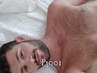 Pj001