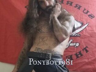 Ponyboy1981 Xxx Amateur