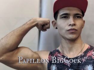 Papillon_BigCock