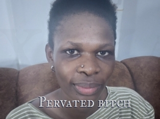 pervated_bitch Xxx Amateur