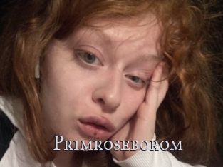 Primroseborom