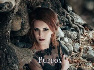 pupfox Xxx Amateur