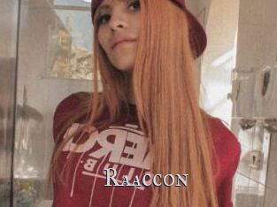 Raaccon