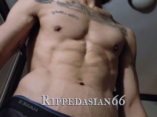 Rippedasian66