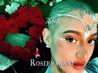 rosiepagani Xxx Amateur
