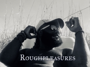 Roughpleasures