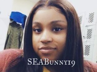 SEABunny19