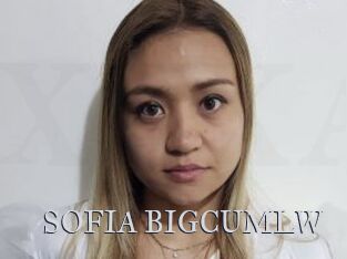 SOFIA_BIGCUMLW
