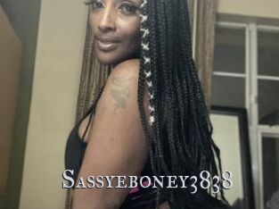 Sassyeboney3838