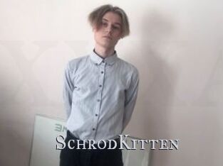 SchrodKitten