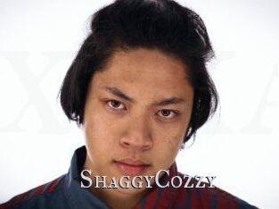 ShaggyCozzy