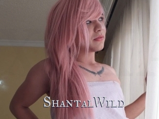 ShantalWild Xxx Amateur