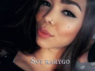 Soy_karygo