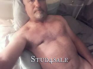 Stud4sale