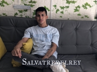 salvatredelrey Xxx Amateur