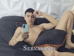 sebnaranjo Xxx Amateur