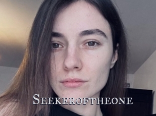 Seekeroftheone